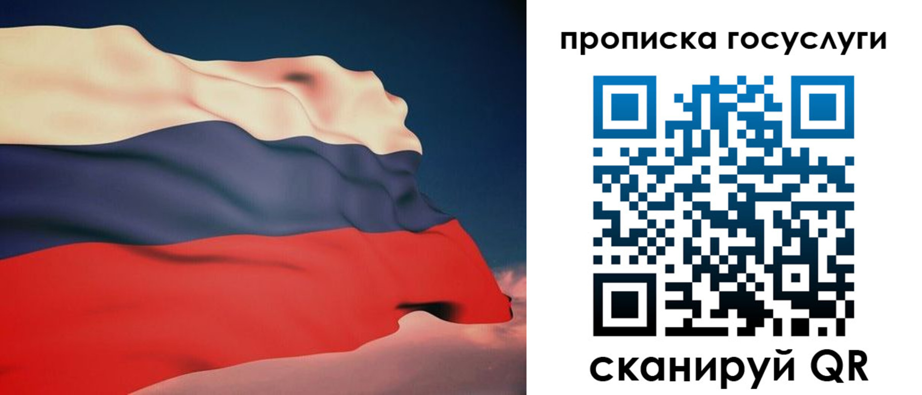временная регистрация в Димитровграде